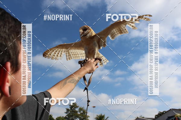 Buy your photos of the eventTreino De Aniversario Amigos Runners Taubate on Fotop