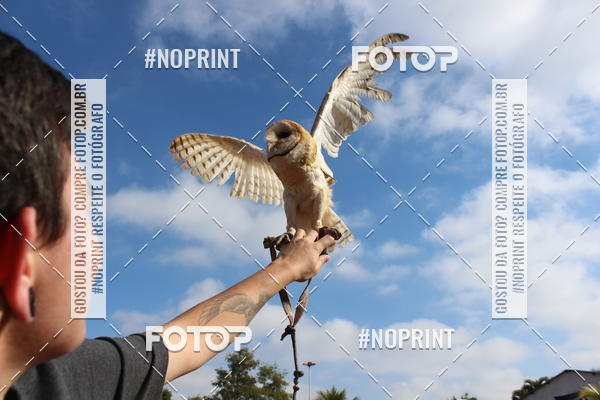 Buy your photos of the eventTreino De Aniversario Amigos Runners Taubate on Fotop