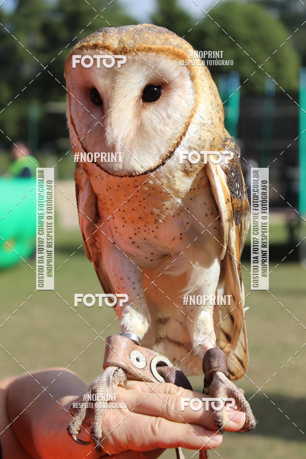 Buy your photos of the eventTreino De Aniversario Amigos Runners Taubate on Fotop