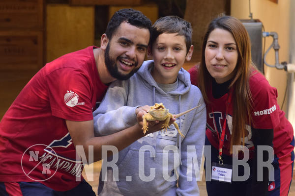 Buy your photos of the eventNR1 - English & Action - 04 a 07/06/19 on Fotop