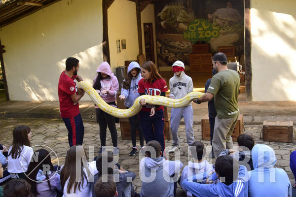 Buy your photos of the eventNR1 - English & Action - 04 a 07/06/19 on Fotop