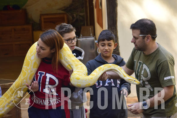 Buy your photos of the eventNR1 - English & Action - 04 a 07/06/19 on Fotop