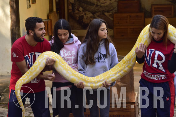 Buy your photos of the eventNR1 - English & Action - 04 a 07/06/19 on Fotop