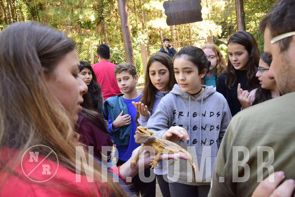 Buy your photos of the eventNR1 - English & Action - 04 a 07/06/19 on Fotop