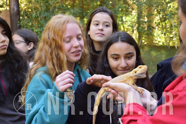 Buy your photos of the eventNR1 - English & Action - 04 a 07/06/19 on Fotop