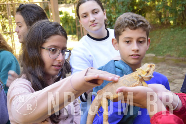 Buy your photos of the eventNR1 - English & Action - 04 a 07/06/19 on Fotop