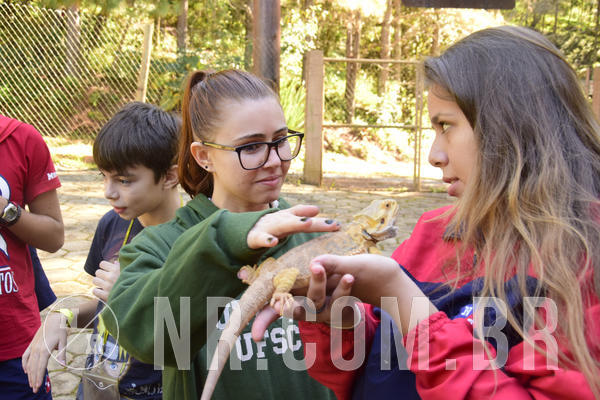 Buy your photos of the eventNR1 - English & Action - 04 a 07/06/19 on Fotop