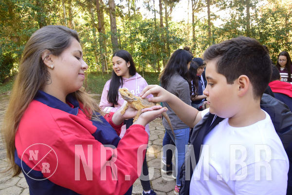 Buy your photos of the eventNR1 - English & Action - 04 a 07/06/19 on Fotop