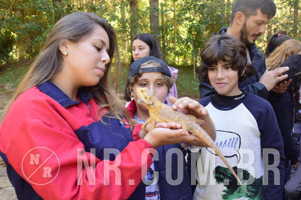 Buy your photos of the eventNR1 - English & Action - 04 a 07/06/19 on Fotop