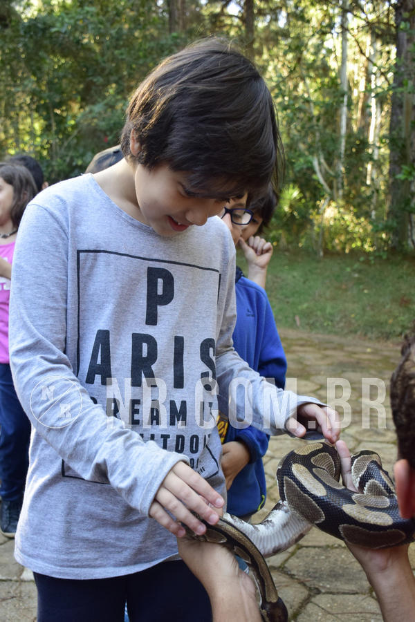 Buy your photos of the eventNR1 - English & Action - 04 a 07/06/19 on Fotop