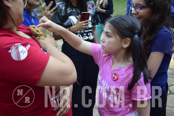 Buy your photos of the eventNR1 - English & Action - 04 a 07/06/19 on Fotop