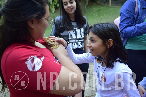 Buy your photos of the eventNR1 - English & Action - 04 a 07/06/19 on Fotop