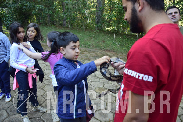Buy your photos of the eventNR1 - English & Action - 04 a 07/06/19 on Fotop