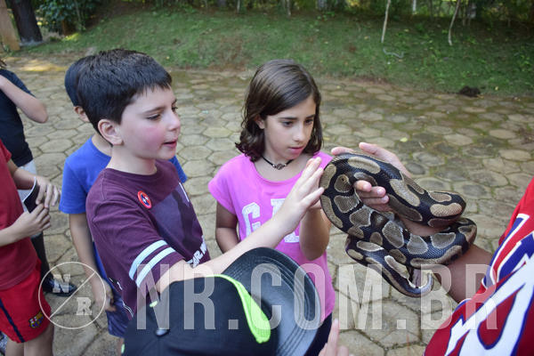 Buy your photos of the eventNR1 - English & Action - 04 a 07/06/19 on Fotop