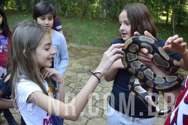 Buy your photos of the eventNR1 - English & Action - 04 a 07/06/19 on Fotop