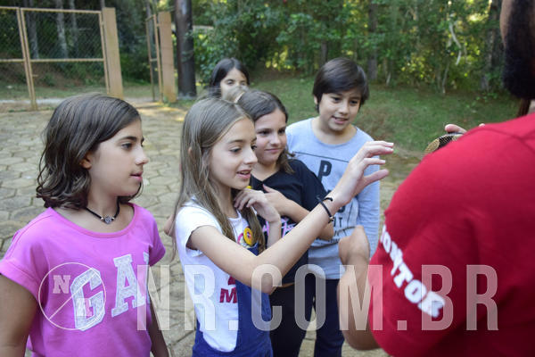 Buy your photos of the eventNR1 - English & Action - 04 a 07/06/19 on Fotop