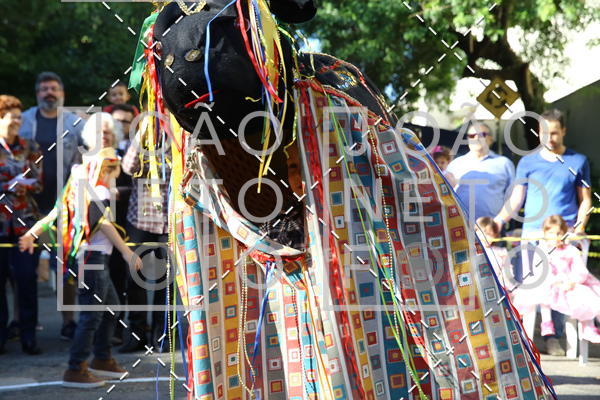 Buy your photos of the eventBeb e Companhia - Festa Junina 2019 on Fotop