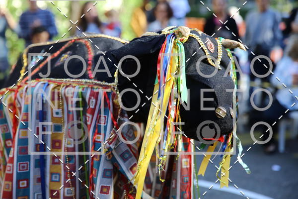 Compra tus fotos del eventoBeb e Companhia - Festa Junina 2019 En Fotop