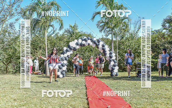 Buy your photos of the event5 Encontro Oficial de Dachshunds e Concurso de Fantasias do Clube dos Salsichanos de Ribeiro Preto/SP on Fotop