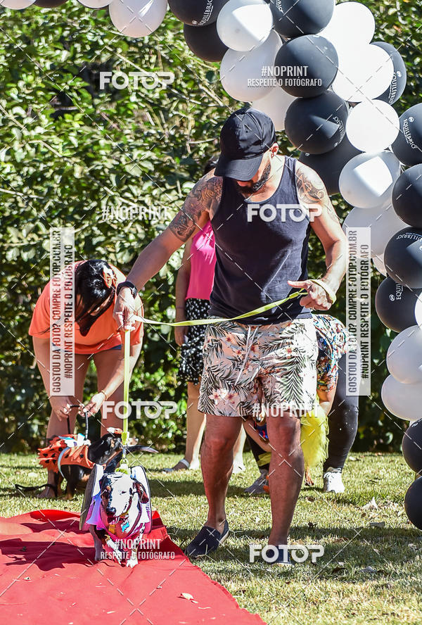 Buy your photos of the event5 Encontro Oficial de Dachshunds e Concurso de Fantasias do Clube dos Salsichanos de Ribeiro Preto/SP on Fotop