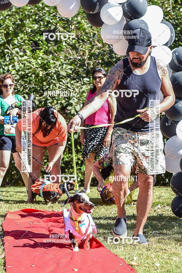 Buy your photos of the event5 Encontro Oficial de Dachshunds e Concurso de Fantasias do Clube dos Salsichanos de Ribeiro Preto/SP on Fotop