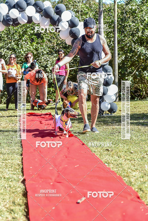 Buy your photos of the event5 Encontro Oficial de Dachshunds e Concurso de Fantasias do Clube dos Salsichanos de Ribeiro Preto/SP on Fotop