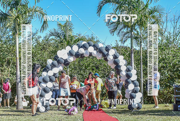 Buy your photos of the event5 Encontro Oficial de Dachshunds e Concurso de Fantasias do Clube dos Salsichanos de Ribeiro Preto/SP on Fotop