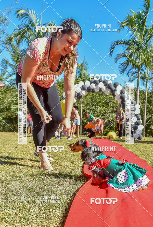 Buy your photos of the event5 Encontro Oficial de Dachshunds e Concurso de Fantasias do Clube dos Salsichanos de Ribeiro Preto/SP on Fotop