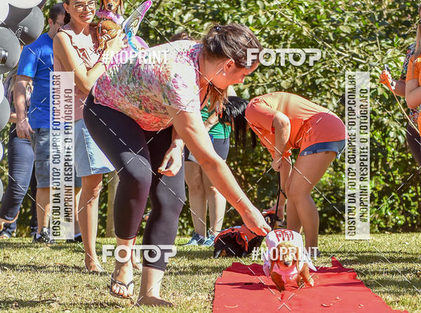 Buy your photos of the event5 Encontro Oficial de Dachshunds e Concurso de Fantasias do Clube dos Salsichanos de Ribeiro Preto/SP on Fotop