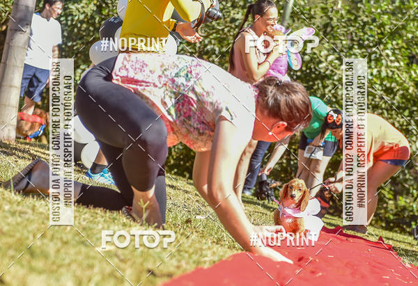 Buy your photos of the event5 Encontro Oficial de Dachshunds e Concurso de Fantasias do Clube dos Salsichanos de Ribeiro Preto/SP on Fotop