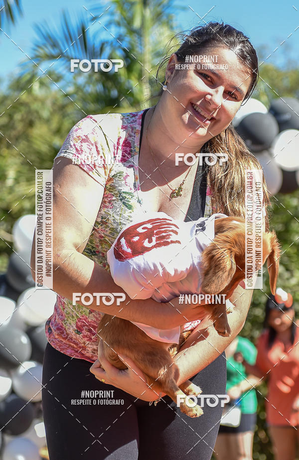 Buy your photos of the event5 Encontro Oficial de Dachshunds e Concurso de Fantasias do Clube dos Salsichanos de Ribeiro Preto/SP on Fotop