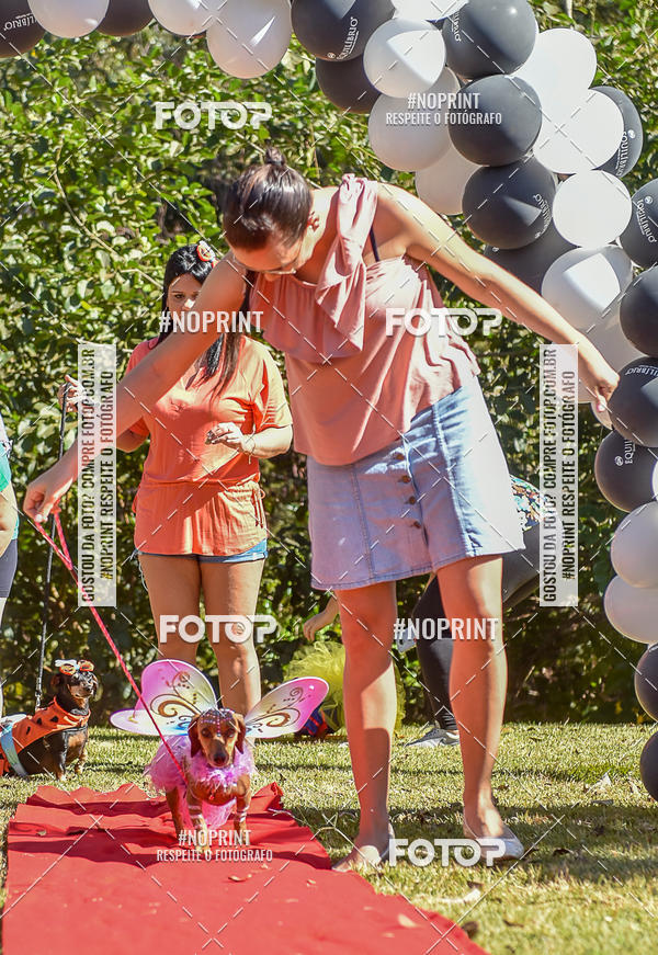 Buy your photos of the event5 Encontro Oficial de Dachshunds e Concurso de Fantasias do Clube dos Salsichanos de Ribeiro Preto/SP on Fotop