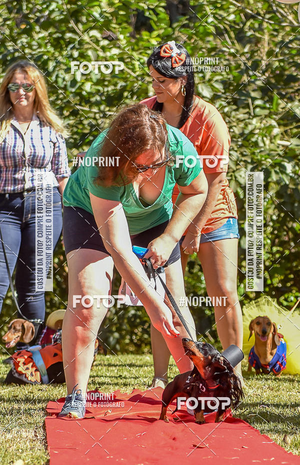 Buy your photos of the event5 Encontro Oficial de Dachshunds e Concurso de Fantasias do Clube dos Salsichanos de Ribeiro Preto/SP on Fotop