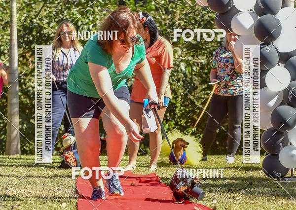 Buy your photos of the event5 Encontro Oficial de Dachshunds e Concurso de Fantasias do Clube dos Salsichanos de Ribeiro Preto/SP on Fotop
