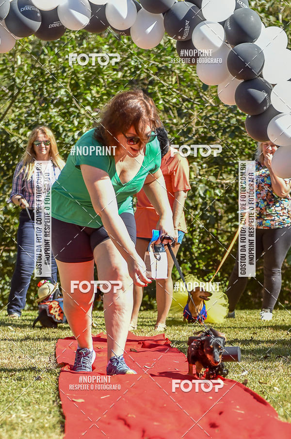 Buy your photos of the event5 Encontro Oficial de Dachshunds e Concurso de Fantasias do Clube dos Salsichanos de Ribeiro Preto/SP on Fotop