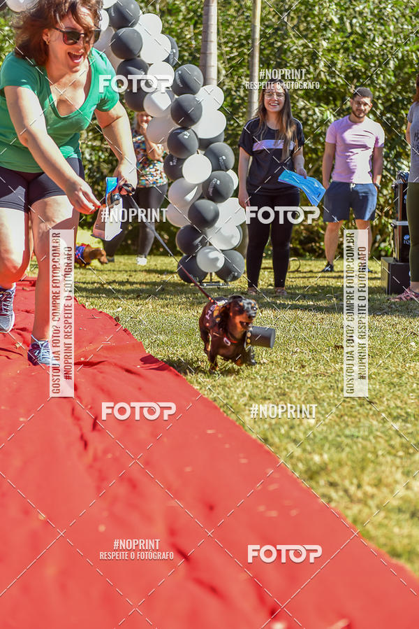 Buy your photos of the event5 Encontro Oficial de Dachshunds e Concurso de Fantasias do Clube dos Salsichanos de Ribeiro Preto/SP on Fotop