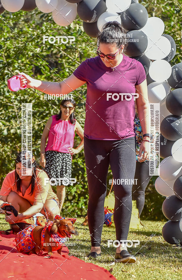 Buy your photos of the event5 Encontro Oficial de Dachshunds e Concurso de Fantasias do Clube dos Salsichanos de Ribeiro Preto/SP on Fotop