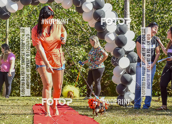 Buy your photos of the event5 Encontro Oficial de Dachshunds e Concurso de Fantasias do Clube dos Salsichanos de Ribeiro Preto/SP on Fotop