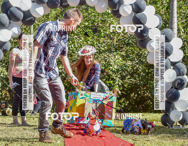 Buy your photos of the event5 Encontro Oficial de Dachshunds e Concurso de Fantasias do Clube dos Salsichanos de Ribeiro Preto/SP on Fotop