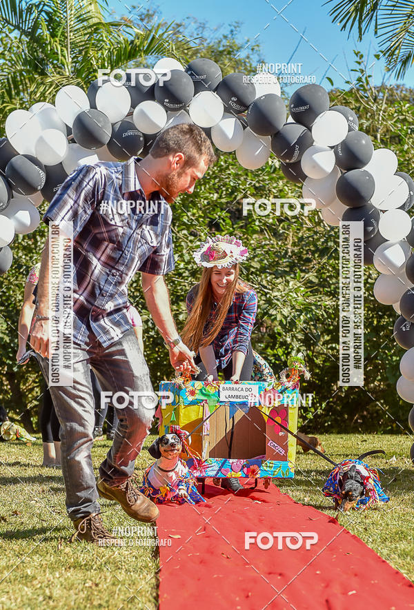 Buy your photos of the event5 Encontro Oficial de Dachshunds e Concurso de Fantasias do Clube dos Salsichanos de Ribeiro Preto/SP on Fotop