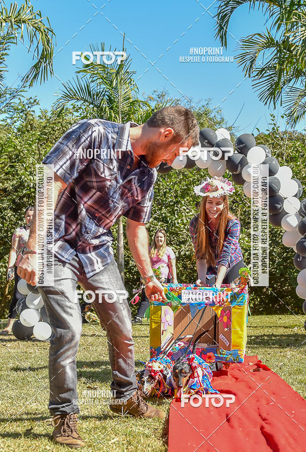 Buy your photos of the event5 Encontro Oficial de Dachshunds e Concurso de Fantasias do Clube dos Salsichanos de Ribeiro Preto/SP on Fotop