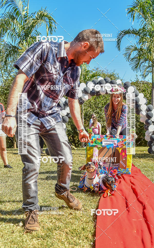 Buy your photos of the event5 Encontro Oficial de Dachshunds e Concurso de Fantasias do Clube dos Salsichanos de Ribeiro Preto/SP on Fotop