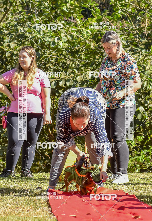 Buy your photos of the event5 Encontro Oficial de Dachshunds e Concurso de Fantasias do Clube dos Salsichanos de Ribeiro Preto/SP on Fotop