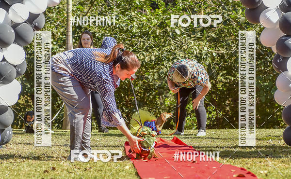 Buy your photos of the event5 Encontro Oficial de Dachshunds e Concurso de Fantasias do Clube dos Salsichanos de Ribeiro Preto/SP on Fotop