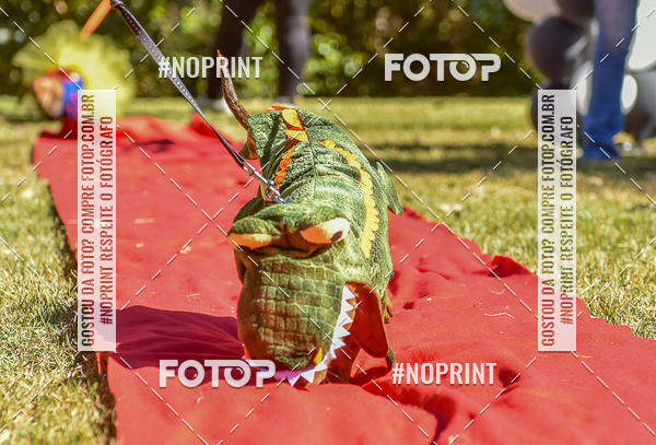 Buy your photos of the event5 Encontro Oficial de Dachshunds e Concurso de Fantasias do Clube dos Salsichanos de Ribeiro Preto/SP on Fotop