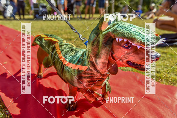 Buy your photos of the event5 Encontro Oficial de Dachshunds e Concurso de Fantasias do Clube dos Salsichanos de Ribeiro Preto/SP on Fotop