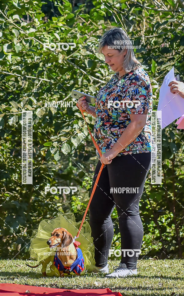 Buy your photos of the event5 Encontro Oficial de Dachshunds e Concurso de Fantasias do Clube dos Salsichanos de Ribeiro Preto/SP on Fotop