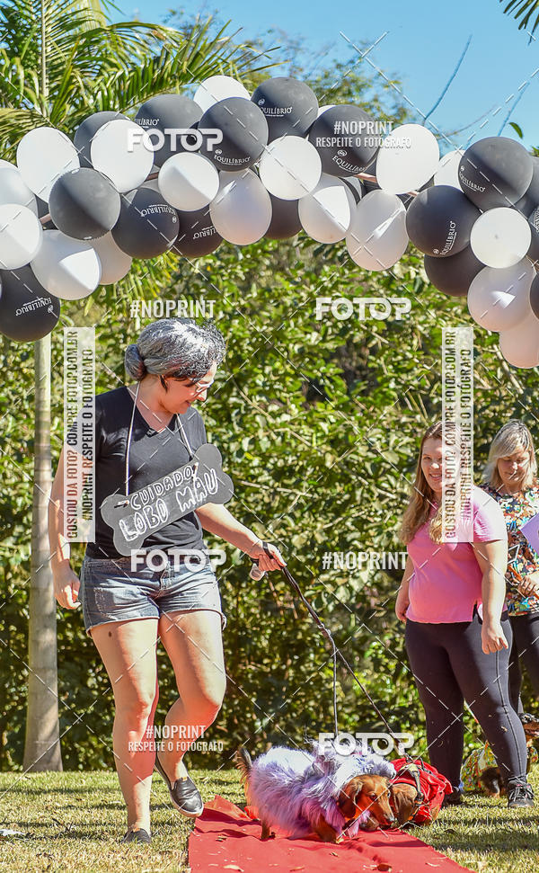 Buy your photos of the event5 Encontro Oficial de Dachshunds e Concurso de Fantasias do Clube dos Salsichanos de Ribeiro Preto/SP on Fotop