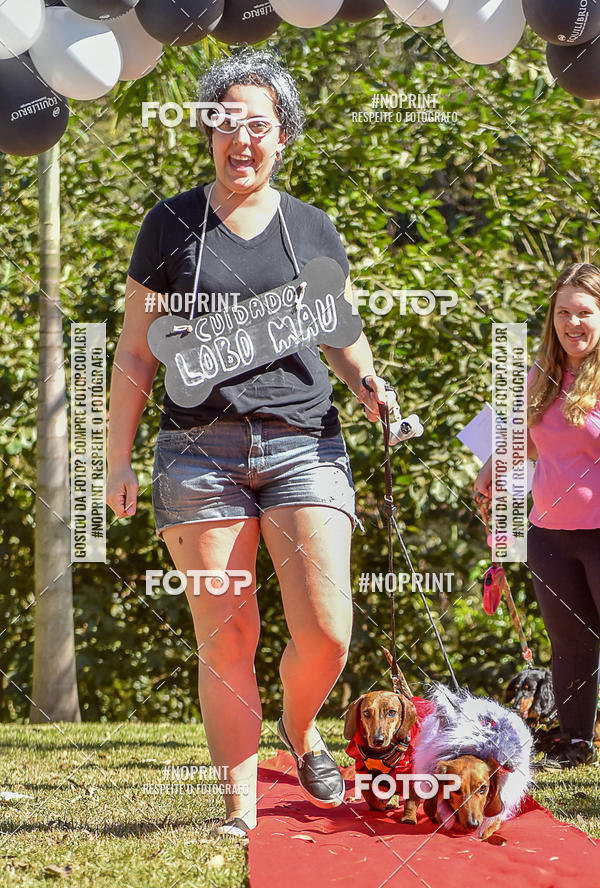 Buy your photos of the event5 Encontro Oficial de Dachshunds e Concurso de Fantasias do Clube dos Salsichanos de Ribeiro Preto/SP on Fotop