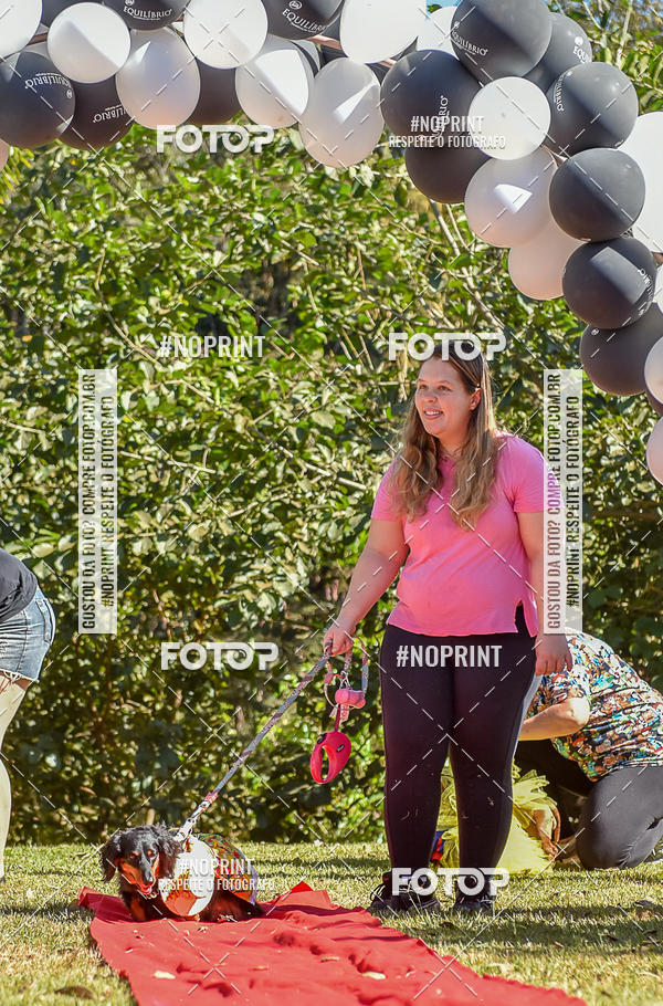Buy your photos of the event5 Encontro Oficial de Dachshunds e Concurso de Fantasias do Clube dos Salsichanos de Ribeiro Preto/SP on Fotop